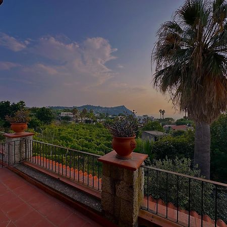 Hotel Il Vitigno Di Dioniso Forio di Ischia Esterno foto