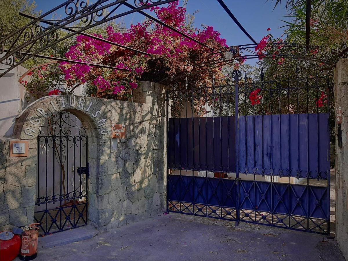 Hotel Il Vitigno Di Dioniso Forio di Ischia Esterno foto