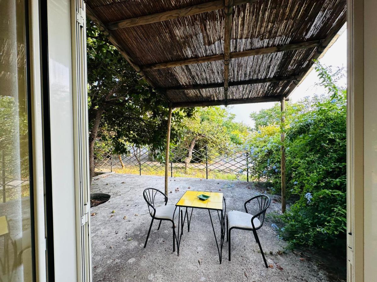 Hotel Il Vitigno Di Dioniso Forio di Ischia Esterno foto