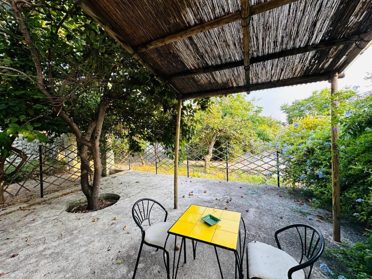 Hotel Il Vitigno Di Dioniso Forio di Ischia Esterno foto