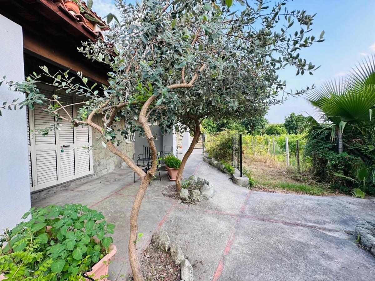 Hotel Il Vitigno Di Dioniso Forio di Ischia Esterno foto