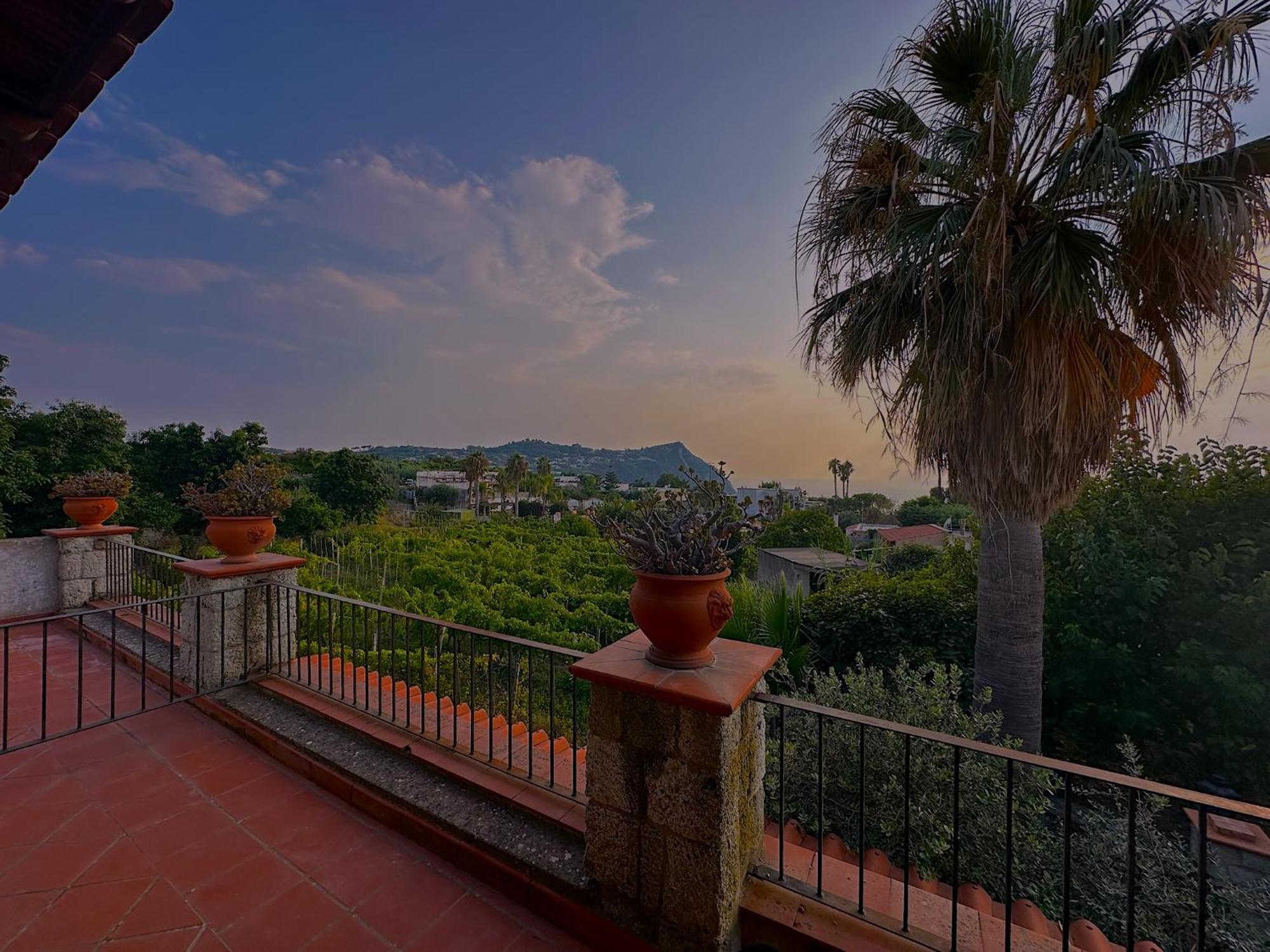 Hotel Il Vitigno Di Dioniso Forio di Ischia Esterno foto