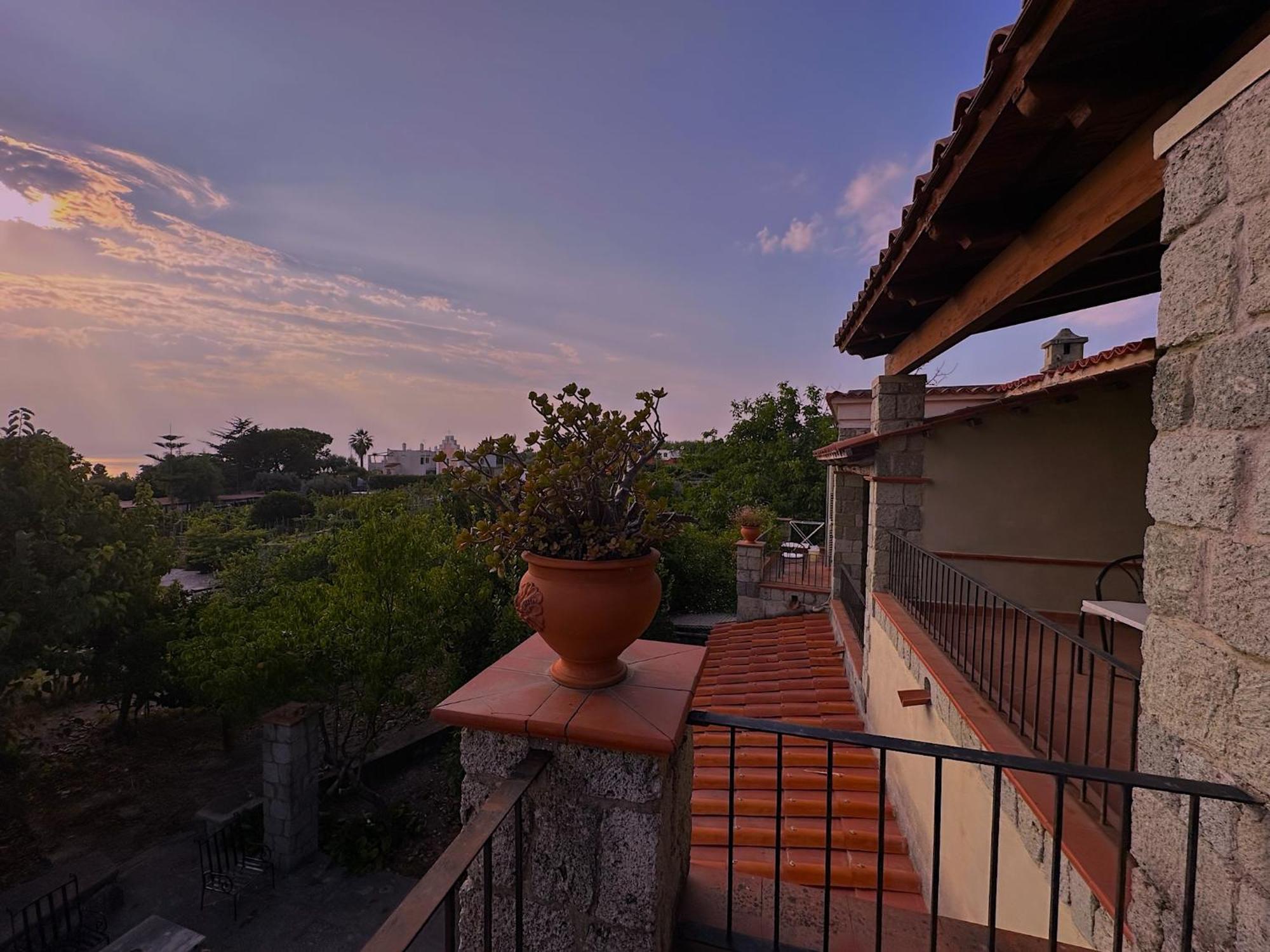 Hotel Il Vitigno Di Dioniso Forio di Ischia Esterno foto